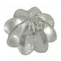 1/2 Inch Clear Plastic Rosette Buds With Studs - Decorative Floral Accents