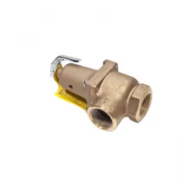1 Lf174A 60Rlfvlv 1702000 For Watts Part# 121491