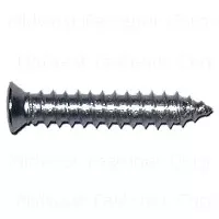 10 X 1 Chrometint Phillips Oval Head Sheet Metal Screws - Jackson Model