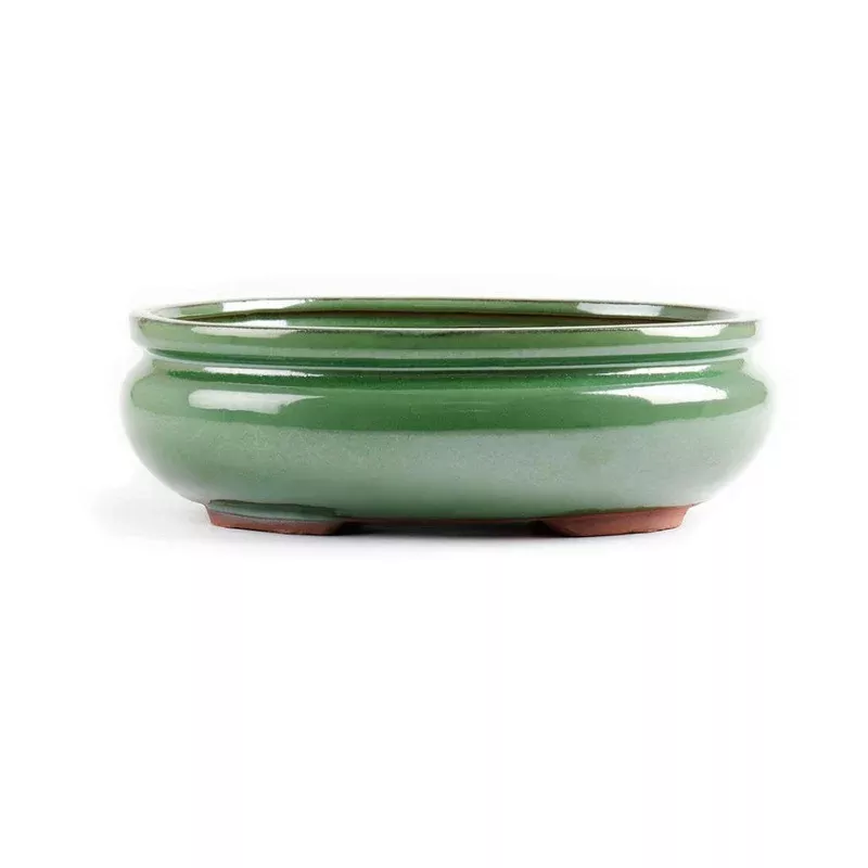 14 x 11 x 5 cm – Glazed Bonsai Pot – Green Oval