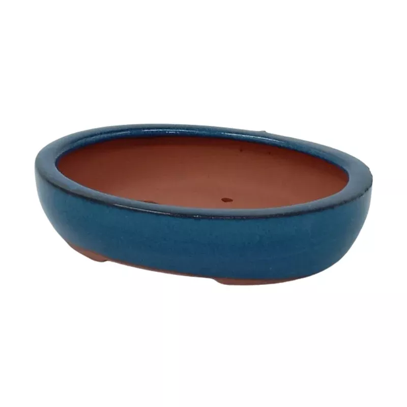 15 x 12 x 3 cm Glazed Bonsai Pot – Blue Oval