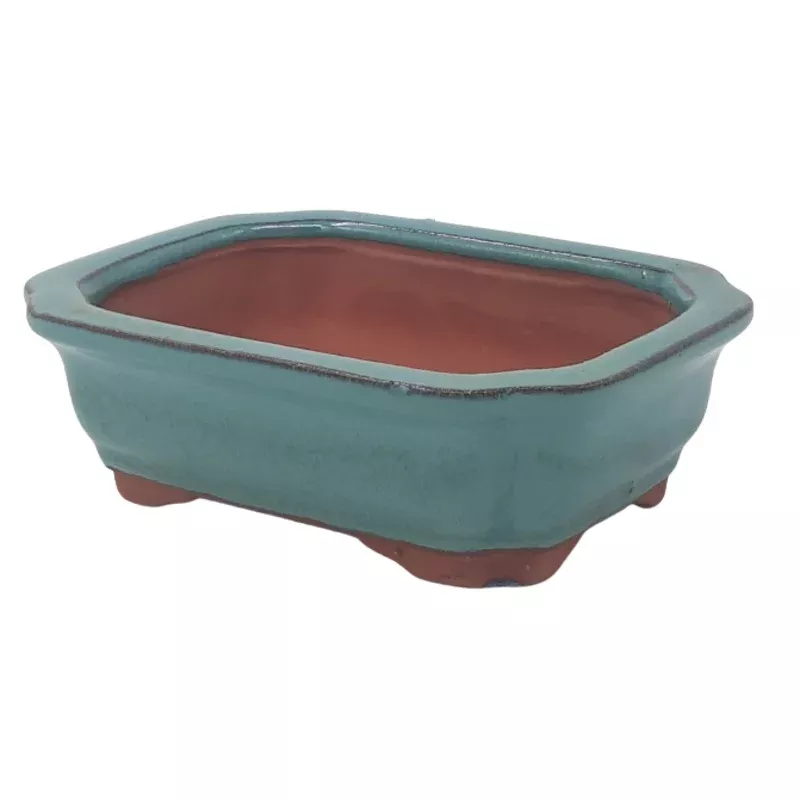 15 x 12 x 5 cm Glazed Bonsai Pot – Green