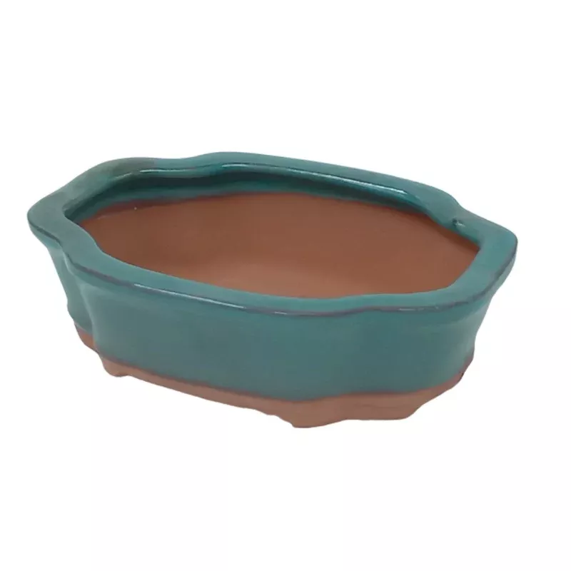 15 x 12 x 5cm – Glazed Bonsai Pot – Green