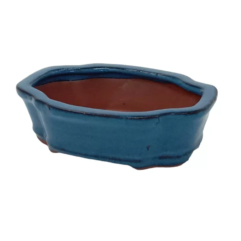 16 x 12 x 5 cmGlazed Bonsai Pot – Blue Floriated