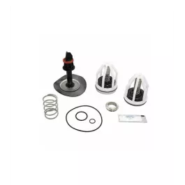 2 Bfp Complete Repair Kit For Watts Part# 887795