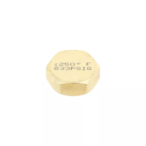 Carrier 346322-753 Stem Cap Kit 7/8"