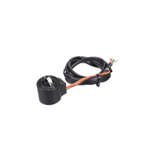 Daikin-McQuay 2548480 Coil / Motor Operated Valve