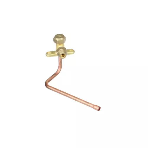 Daikin-McQuay 4018673 2-Way Valve Assembly
