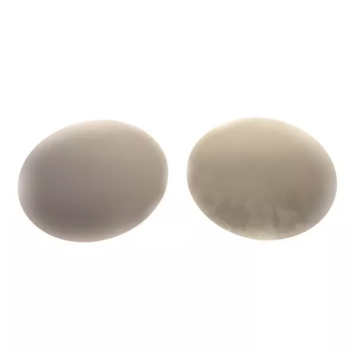 Hoffman Specialty 602217 Diaphragm Kit for 2" Valve