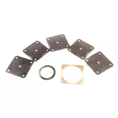 Johnson Controls DPM17A-601R Diaphragm Repair Kit