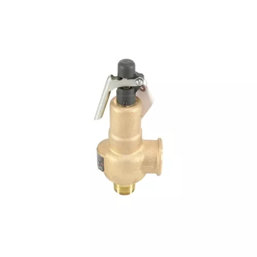 Kunkle Valve 6010FEE01AAM0150 1" x 1.25" 150 PSI Steam Relief Valve 2583 PPH