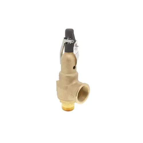 Kunkle Valve 6010JHE01AAM0150 2"x2.5" 150# Steam Relief Valve 10,808 PPH