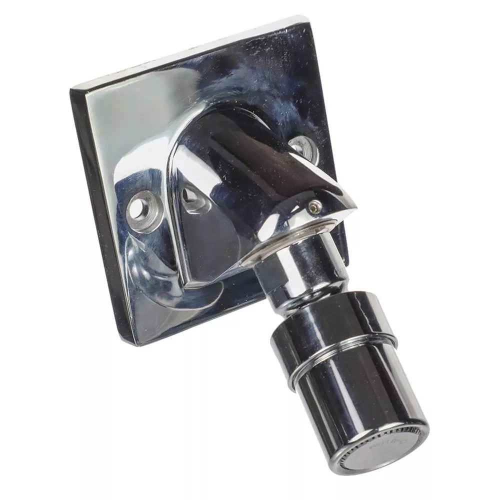 Leonard Valve H-06-C10-2S X Shower Head Institutional