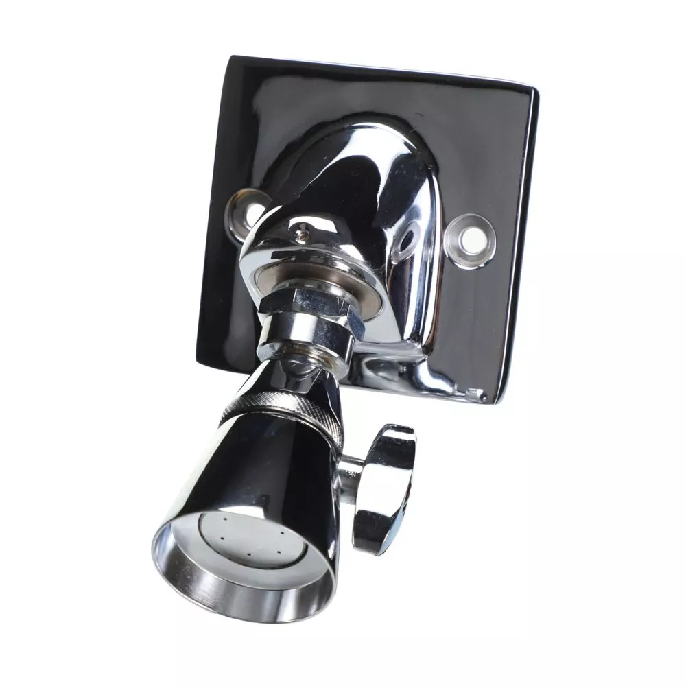 Leonard Valve H-08 X Shower Head Institutional