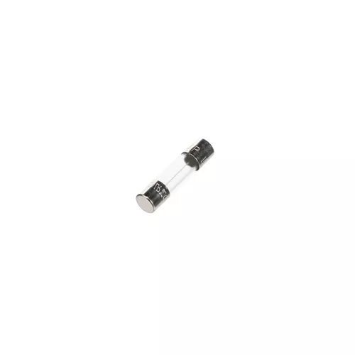 Lochinvar & A.O. Smith 100208232 5 Amp Fuse