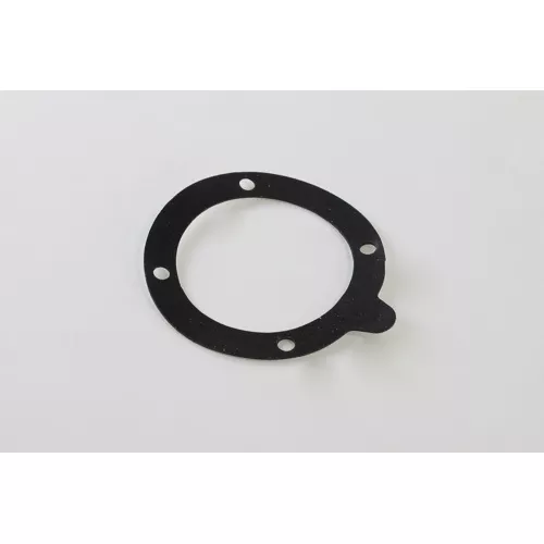 Lochinvar & A.O. Smith 100208764 Blower Gasket