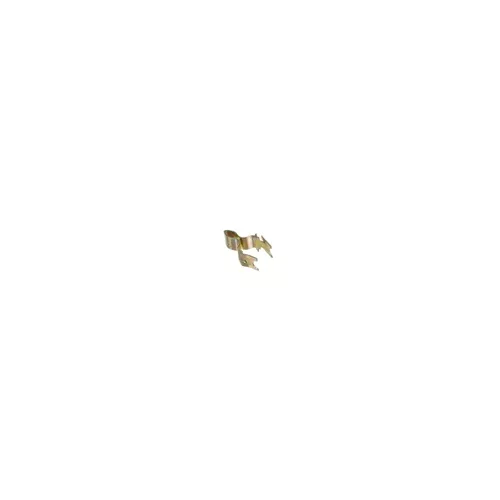 Lochinvar & A.O. Smith 100208818 Door Strike Replacement Part