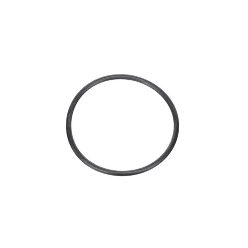Lochinvar & A.O. Smith 100277743 Replacement Gasket