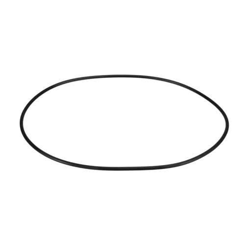 Lochinvar & A.O. Smith 100288873 Flue Gasket