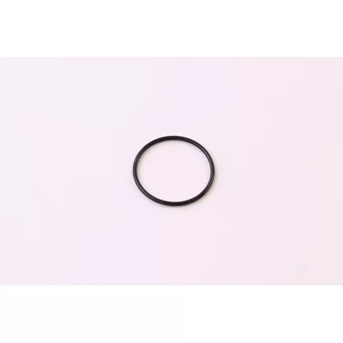 Lochinvar & A.O. Smith 100288880 Small Gasket O-Ring