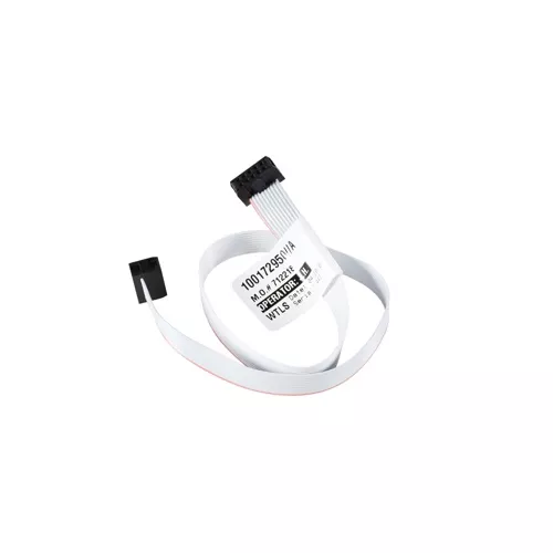 Lochinvar & A.O. Smith 100312423 10 Pin Ribbon Cable