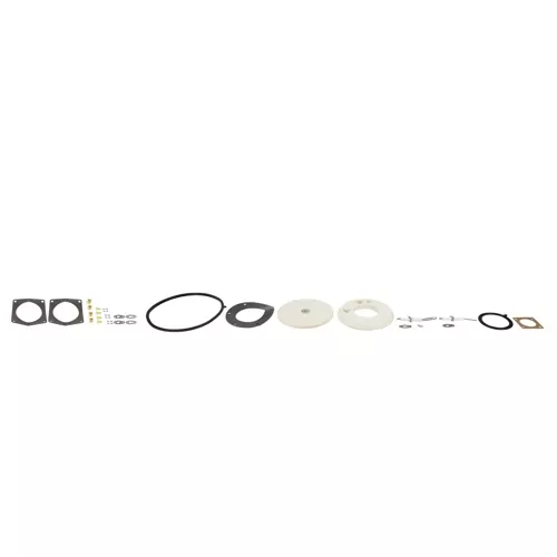 Lochinvar & A.O. Smith 100314926 Service Kit