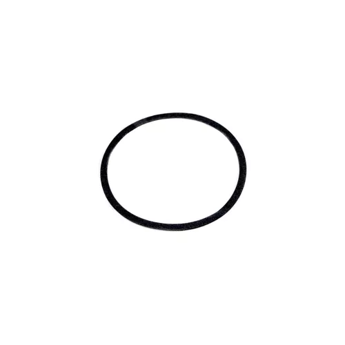 Lochinvar & A.O. Smith 100327114 Volute Gasket