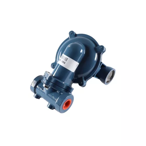 Norgas Controls and Metering NGR02-BBA 3/4" NPT Gas Regulator, 1/4" Orifice, 6.5–16" WC