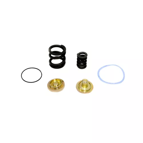 Parker Refrigeration Specialties 202205 Spring Kit Range A/D Bonnet A7, A8
