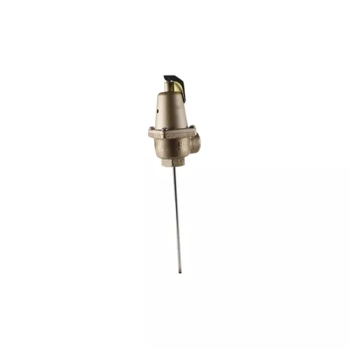 Watts 0315180 N240X-9 1" 150# T&P Relief Valve 4,059,000 BTU