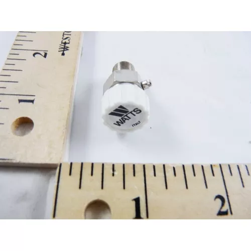 Watts 0590712 HAV-1/8" Automatic Air Vent
