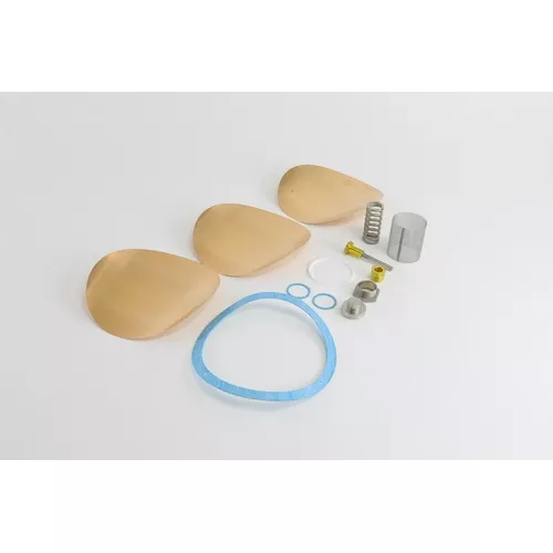 Watts 0875725 Repair Kit for 152A Pressure Reducing Valve 1.5"-2"