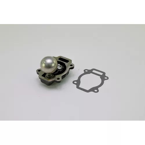 Xylem-Hoffman Specialty 601117 Cover Assembly 1-1/4" FT 55 & 56