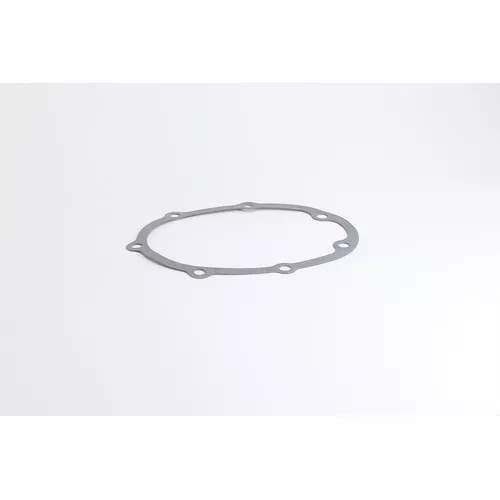 Xylem-Hoffman Specialty 699853 Cover Gasket, 2 Inch